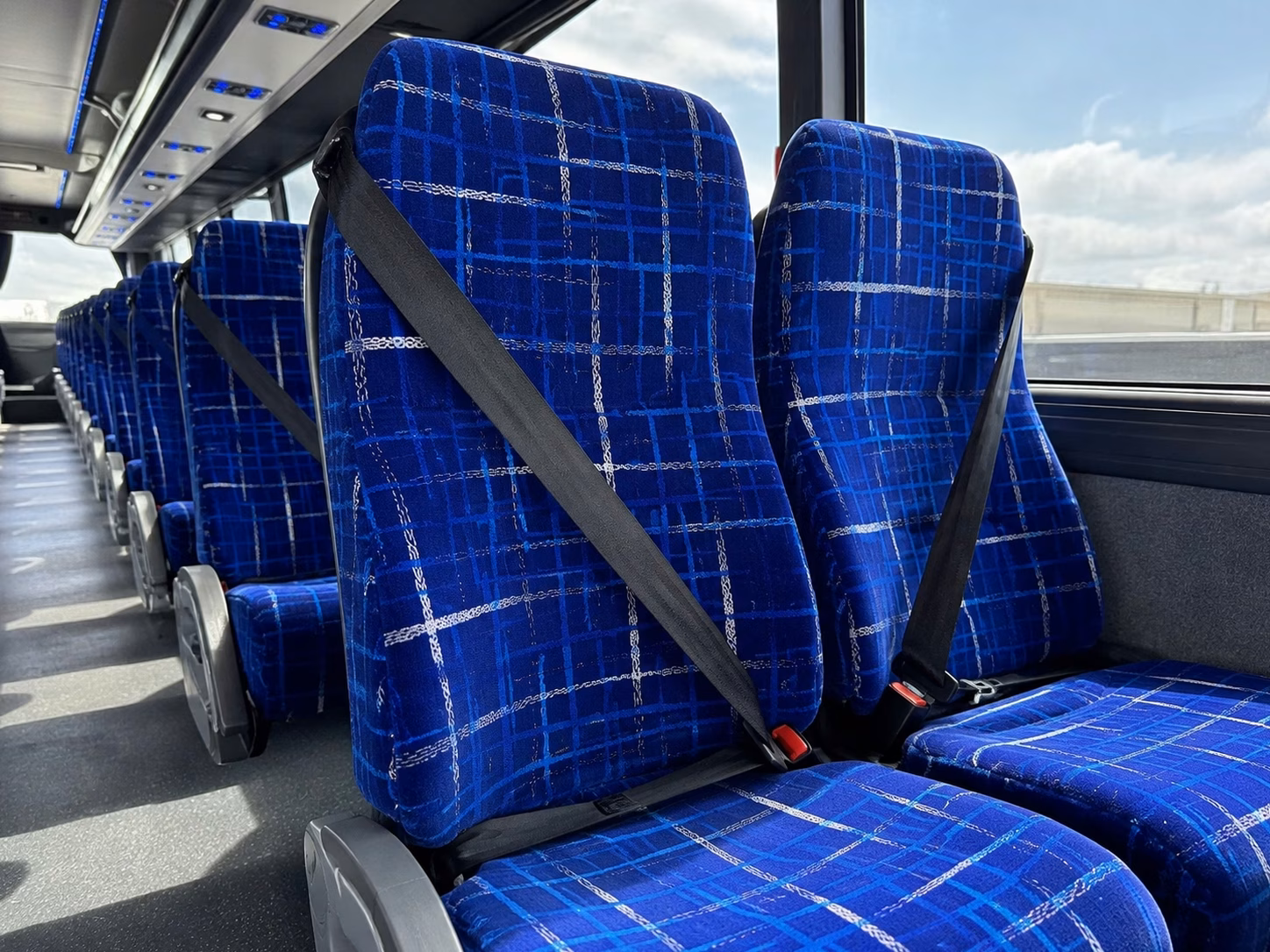 rancho cordova charter bus rentals for park and wetland field trips